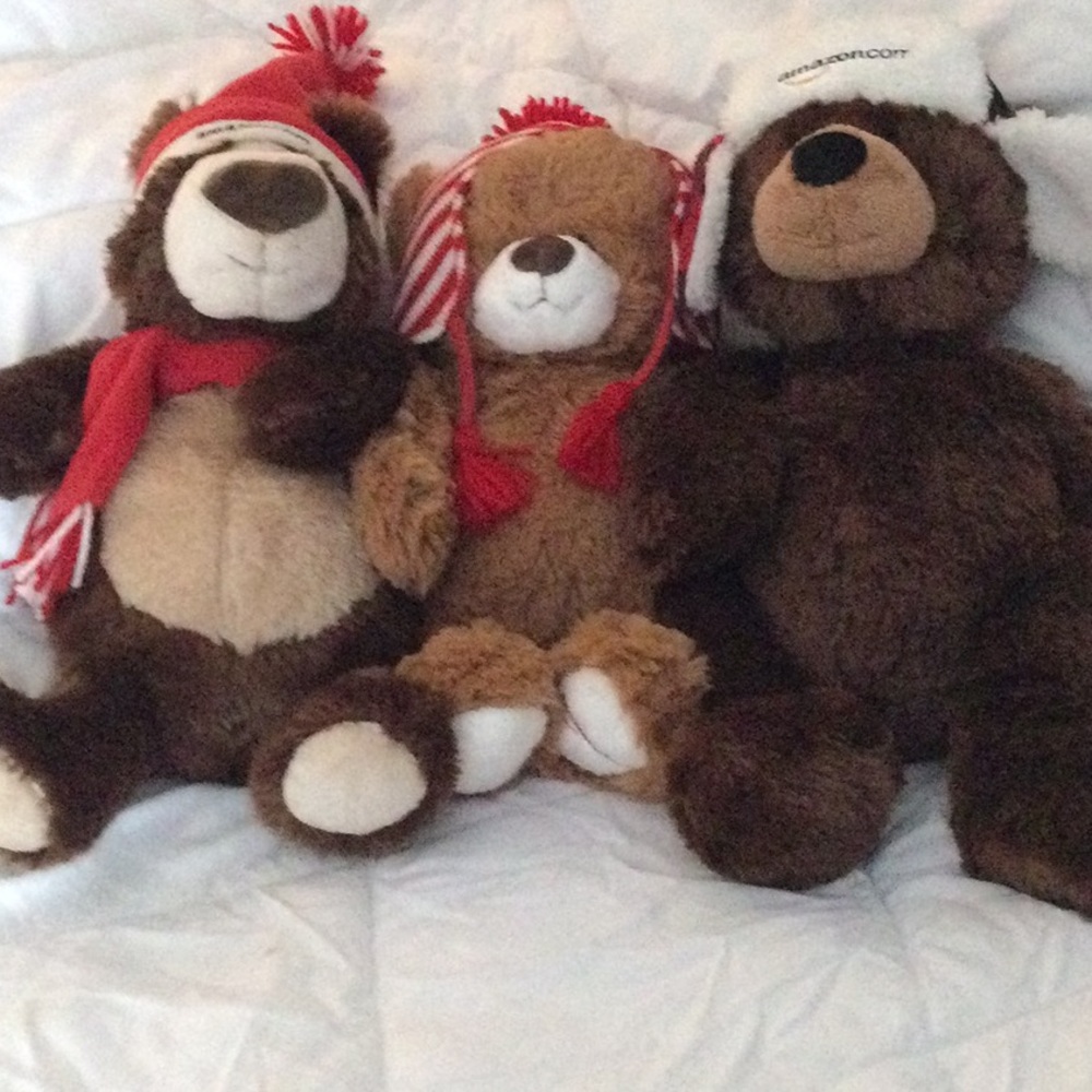 3 Amazon Collectible Bears. NWT.  From years 2013-2015.